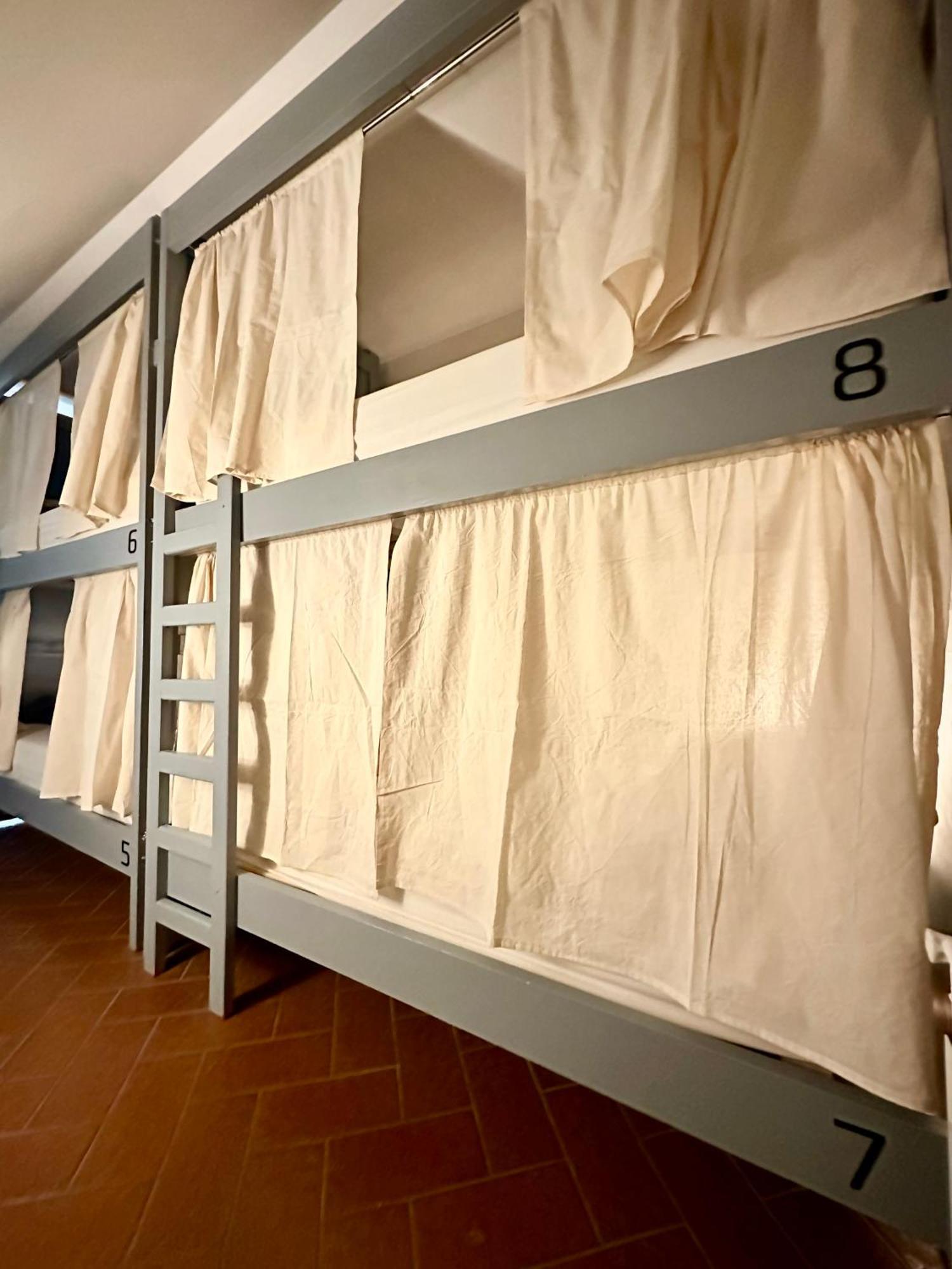 Gorilla Hostel Mendoza Bilik gambar